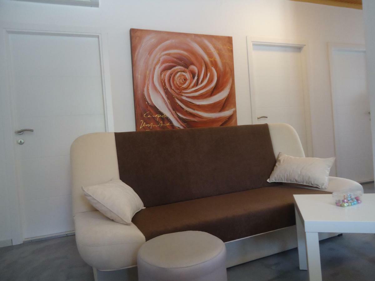 Ines Apartment Novi Vinodolski Bagian luar foto